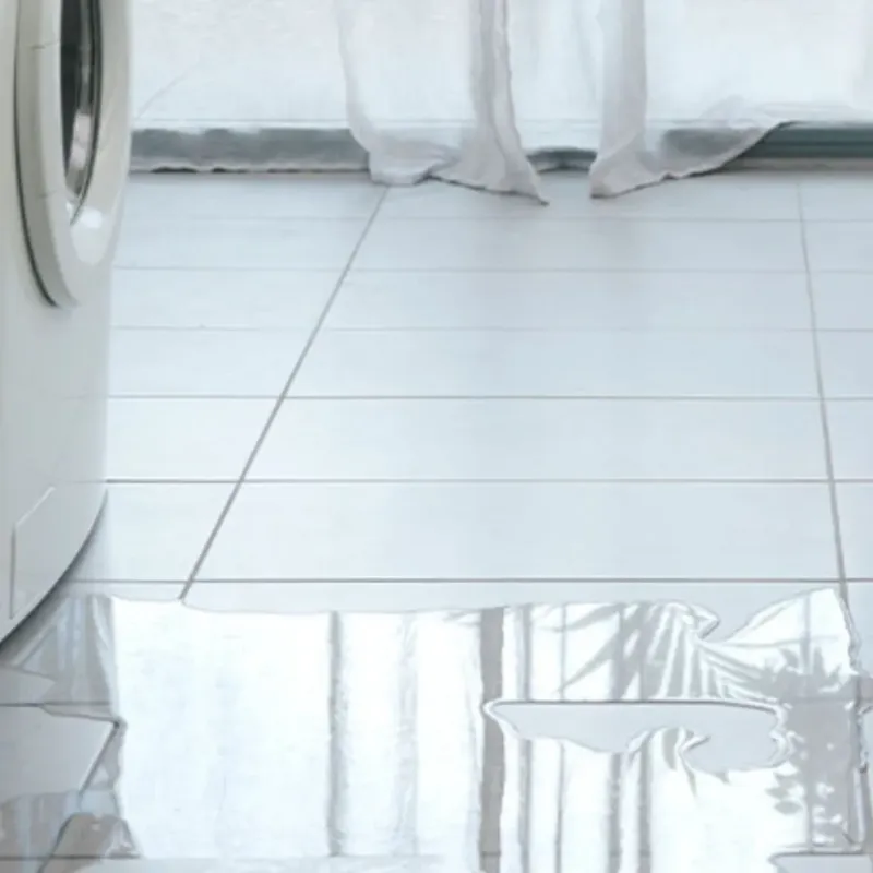 Appliance Leak Cleanup in Vigo County, IN