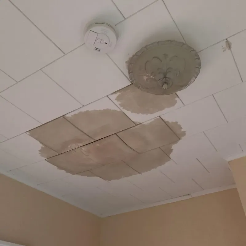 Ceiling Water Damage Repair in Vigo County, IN
