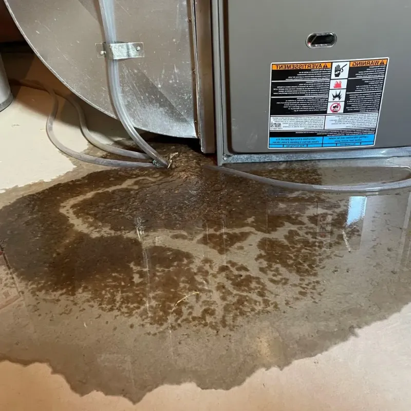 Pipe Burst and Leak Restoration in Vigo County, IN