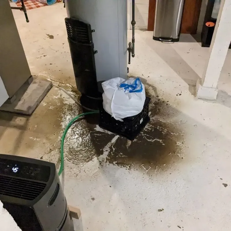 Sewage Backup Cleanup Service in Vigo County, IN